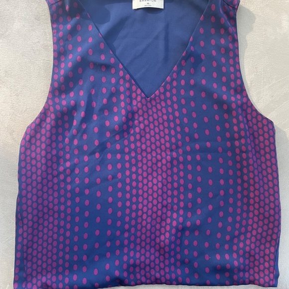 Aritzia Babaton Sleeveless Blouse - Picture 2 of 4